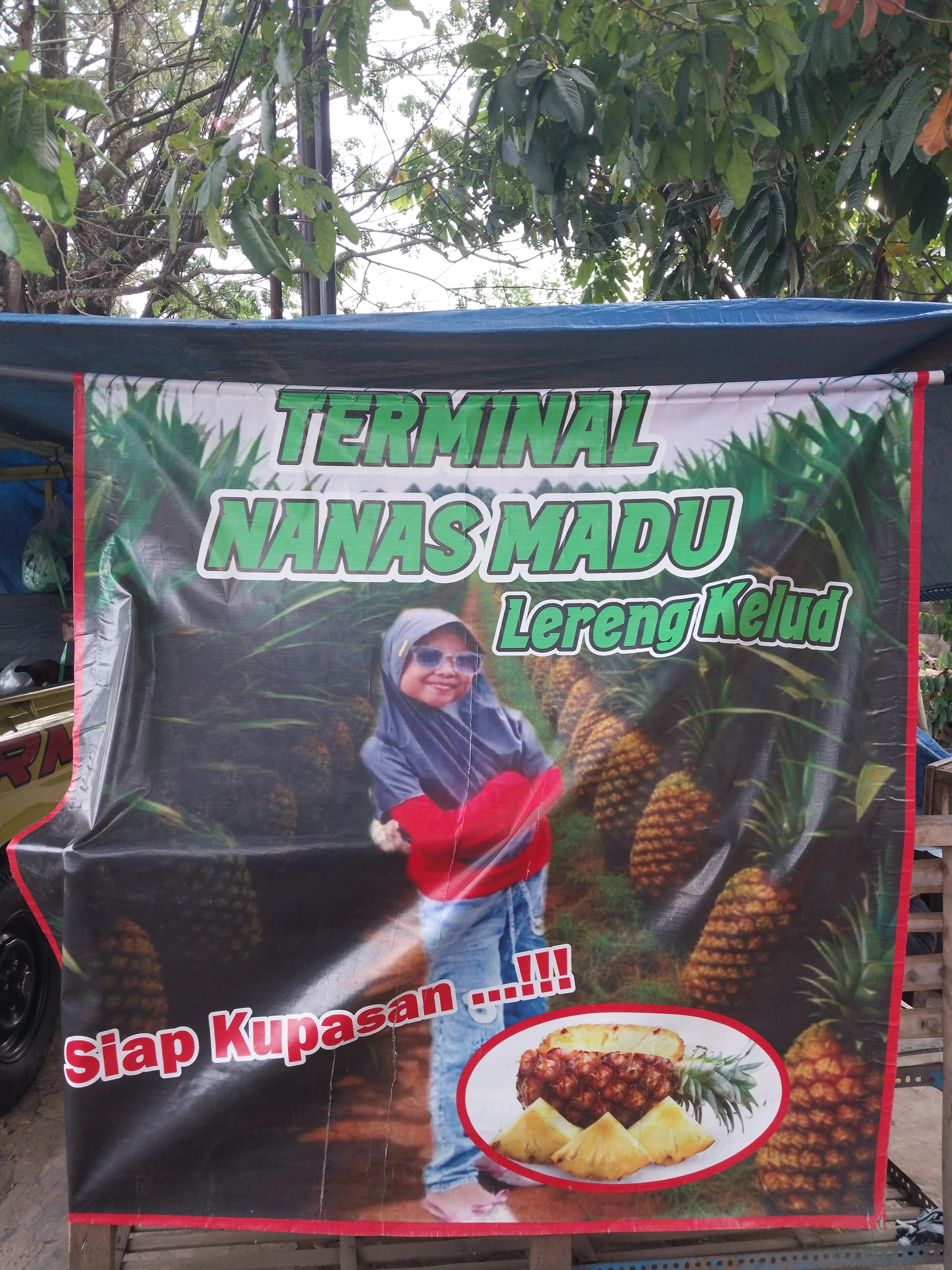 Terminal Nanas Madu